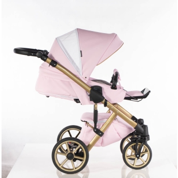 Navi - Pink Gold - 3w1