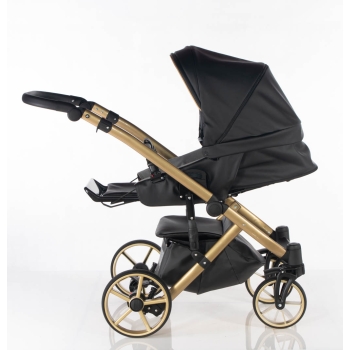 Navi - Czarno Złoty - 3w1